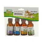 Набор эфирных масел по в коробке 4 шт по 15 мл - Фото 2
