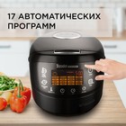 Мультиварка Redmond RMC-M92S, 860 Вт, 5 л, 17 программ, управление со смартфона - фото 51330990