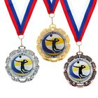 Медаль тематическая 045 "Волейбол", серебро - Фото 1