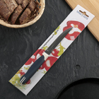 Нож кухонный «Мультиколор», овощной, лезвие 11 см, с пластмассовой ручкой, цвет синий - Фото 2