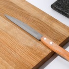 Нож кухонный для овощей «Ретро», лезвие 12,5 см, с деревянной ручкой, цвет бежевый - Фото 2