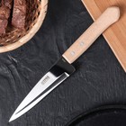 Нож кухонный «Универсал», поварской, лезвие 12,8 см, с деревянной ручкой - Фото 1