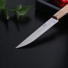 Нож кухонный «Универсал», поварской, лезвие 16,5 см, с деревянной ручкой - Фото 2