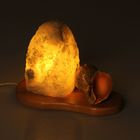 Соляная лампа "Ракушка", 22,5 х 15,5 х 16,5 см, 2-3 кг - Фото 2