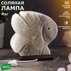 Соляная лампа "Рыбка", цельный кристалл, 22 см, 3-4 кг - Фото 2