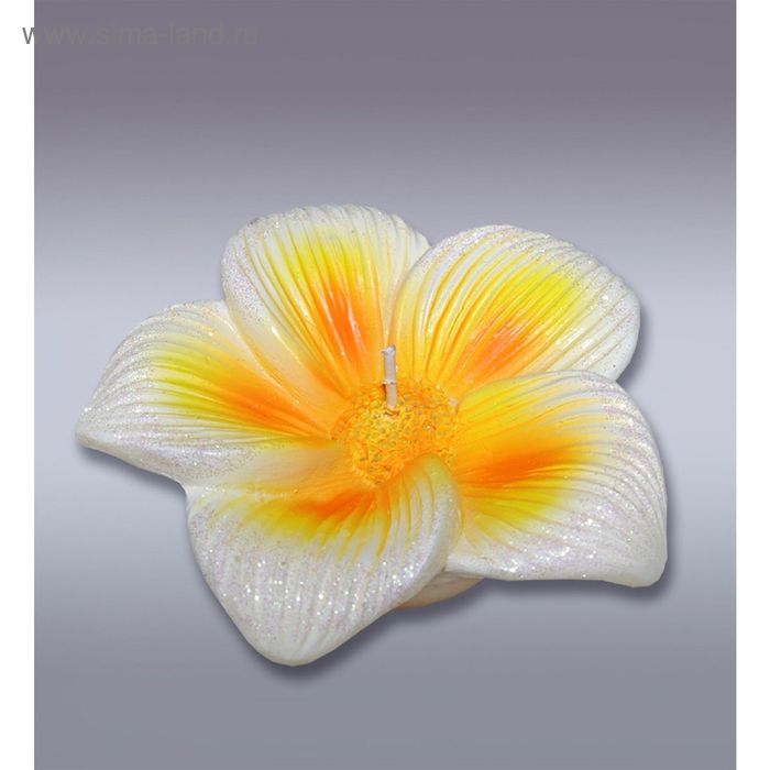 Свеча тропический цветок - Фото 1