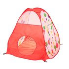 Палатка детская игровая с бассейном для шариков «Восторг» - Фото 5