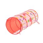 Палатка детская игровая с бассейном для шариков «Восторг» - Фото 6