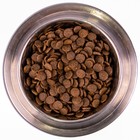 Сухой корм Monge Dog Speciality Puppy&Junior для щенков, лосось/рис, 2,5 кг. - Фото 5