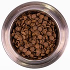 Сухой корм Monge Dog Speciality Puppy&Junior для щенков, лосось/рис, 800 г. - Фото 5