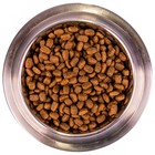 Сухой корм Monge Dog Mini для взрослых собак мелких пород, 3 кг. - Фото 6