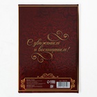 Диплом «Почетного юбиляра», 11×16 см - Фото 4