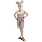 Карнавальный костюм "Мышонок", комбинезон из плюша, шапка, р-р 64, рост 122-128 см - Фото 1