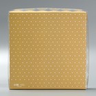 Коробка для печенья, кондитерская упаковка с PVC крышкой, «Кружевная», 21 х 21 х 3 см - фото 320827497