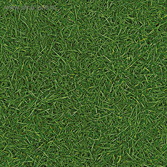 Линолеум Бытовой IVC GRASS BINGO 025 ширина 2,0 м, толщина 2,8 мм, 30 п.м. - Фото 1