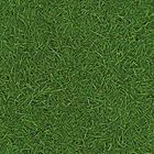 Линолеум Бытовой IVC GRASS BINGO 025 ширина 2,5 м, толщина 2,8 мм, 30 п.м. - Фото 1