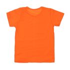 Футболка для мальчика, рост 104 см (26), цвет оранжевый (арт. 0611/1_Д) - Фото 5