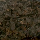 Чай черный байховый крупнолистовой Т-Эко "Танай" 100 г, 50 пачек - Фото 3