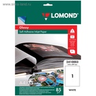 Фотобумага LOMOND, самоклеящаяся, для струйной печати А4, 25 листов, 85 г/м², односторонняя, глянцевая 1598772 - фото 10032586