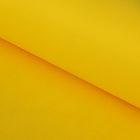 Бумага тишью "Желтый", 50 х 76 см, 24 шт. - Фото 1