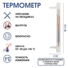 Термометр уличный, на окно, на гвоздике, от -50°С до +50°С, 20.5×6 см - Фото 1