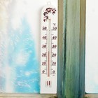 Термометр комнатный для измерения температуры воздуха "Бланш", от 0°С до +50°С, упаковка блистер, ми - Фото 6