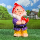 Садовая фигура "Гном с клубникой", разноцветная, 38 см, микс - Фото 6