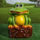 Садовая фигура "Лягушка на камне", разноцветная, 35 см, микс - Фото 5