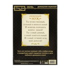 Обувь домашняя мужская "Любимый муж", размер 42/43 - Фото 7