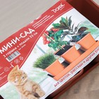 Набор горшков для цветов с поддоном Darel plastic, 750 мл, 33 см, 3 шт., терракотовый - Фото 4