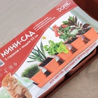 Набор горшков для цветов с поддоном Darel plastic, 750 мл, 53 см, 5 шт., терракотовый - Фото 6