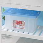 Ящик для хранения с крышкой Darel-box, 18 л, 40×30×23 см, цвет МИКС - Фото 2