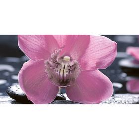 Вставка керамическая 50х25см Болеро Орхидея черный 10-04-04-162-1
