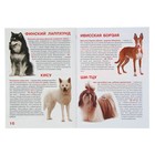 Большая книга «Древние породы собак» - Фото 4