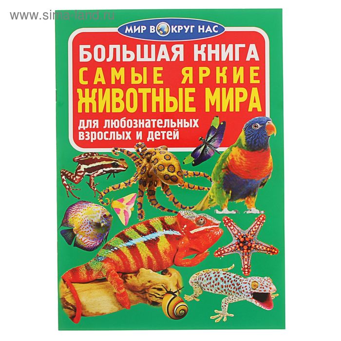 Большая книга «Самые яркие животные Мира» - Фото 1