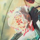 Зонт-трость автоматический "Роза", автоматический, R=50см, разноцветный - Фото 3