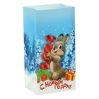 Пакет крафтовый без ручек «Зайчик», 10 × 19,5 см - Фото 1