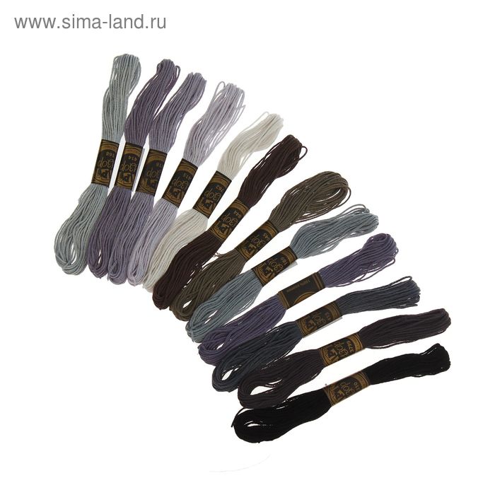 Набор ниток мулине "Спектр серый", 12шт, 8±1м, цвет белый/серый/чёрный - Фото 1