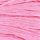 Нитки мулине, 8 ± 1 м, цвет светло-розовый №605 - фото 8485734