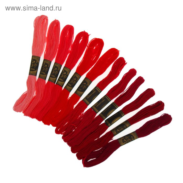 Набор ниток мулине «Спектр», 12 шт, 8±1 м, цвет розовый/красный/бордовый - Фото 1