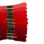 Набор ниток мулине «Спектр», 12 шт, 8±1 м, цвет розовый/красный/бордовый - Фото 2