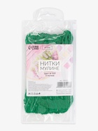 Набор ниток мулине №909, 8±1 м, 6 шт., тёмно-зелёный - Фото 9