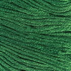 Нитки мулине, 8 ± 1 м, цвет тёмно-зелёный №890 - фото 320238771