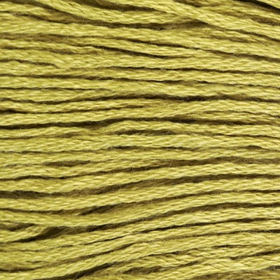 Нитки мулине, 8 ± 1 м, цвет светло-оливковый №3348