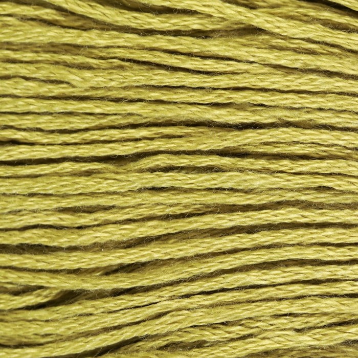 Нитки мулине, 8 ± 1 м, цвет светло-оливковый №3348 - Фото 1