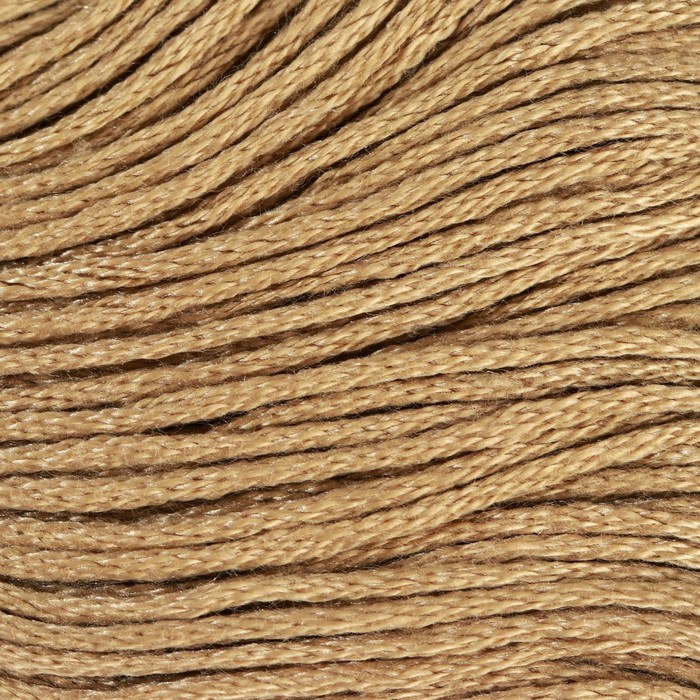 Нитки мулине, 8 ± 1 м, цвет светло-коричневый №612 - Фото 1