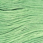 Нитки мулине, 8 ± 1 м, цвет светло-зелёный №563 - Фото 1