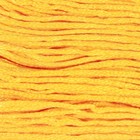 Нитки мулине, 8 ± 1 м, цвет тёмно-жёлтый №742 - фото 8486037