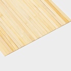 Набор шампуров Доляна, 25 см, 25 шт., бамбук - Фото 4