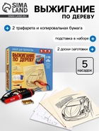 Выжигание и роспись по дереву «Чемпион», набор для творчества - Фото 1